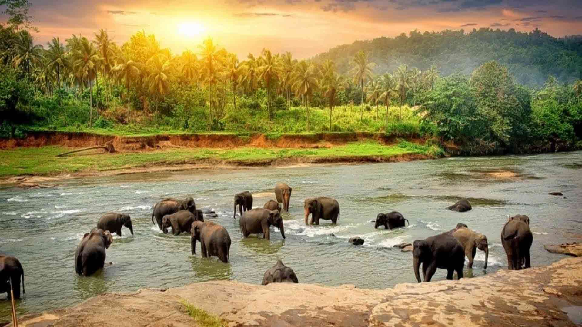THEKKADY