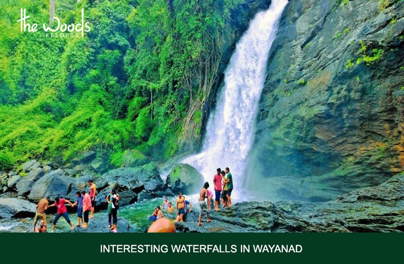 WAYANAD