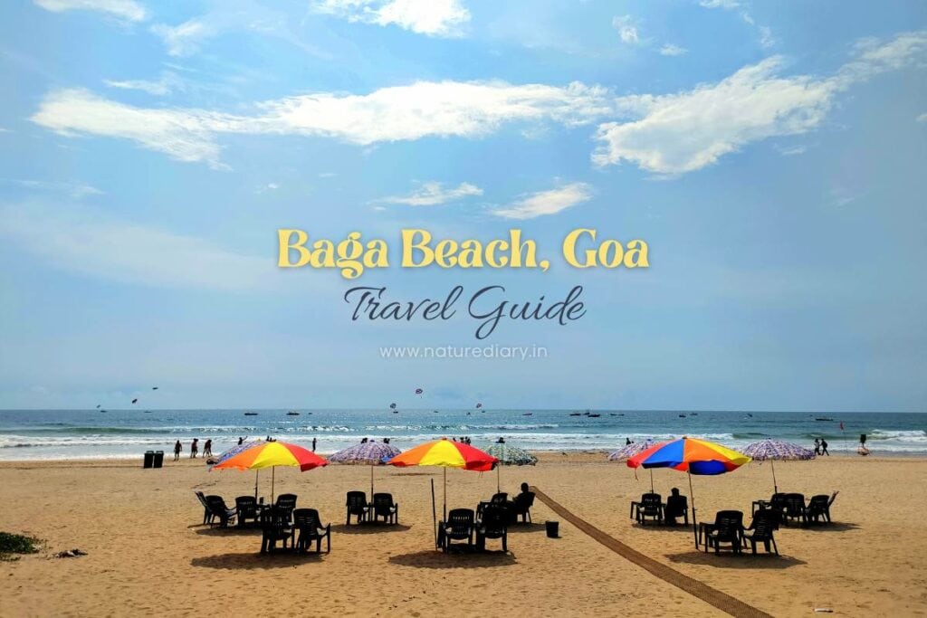 Baga Beach